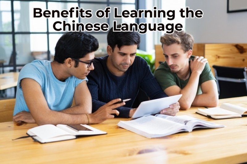 10 Great Benefits of Learning the Chinese Language in India | i-Pro Edu ...